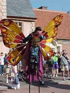 1 butterfly person displaying wings